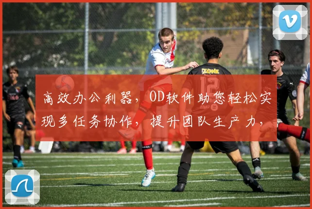 高效办公利器，OD软件助您轻松实现多任务协作，提升团队生产力，专业办公首选