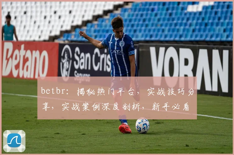 betbr：揭秘热门平台，实战技巧分享，实战案例深度剖析，新手必看指南