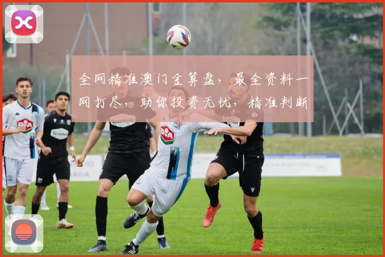 全网精准澳门金算盘，最全资料一网打尽，助你投资无忧，精准判断